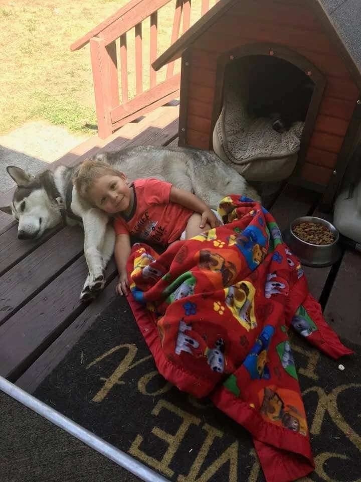 A young toddler cuddles under a colorful blanket using a Husky as a pillow on a backyard porch