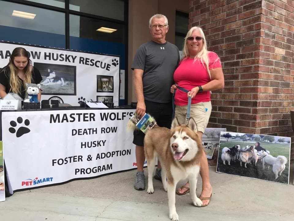 A couple stands with a happy brown-and-white Husky at a PetSmart adoption event
