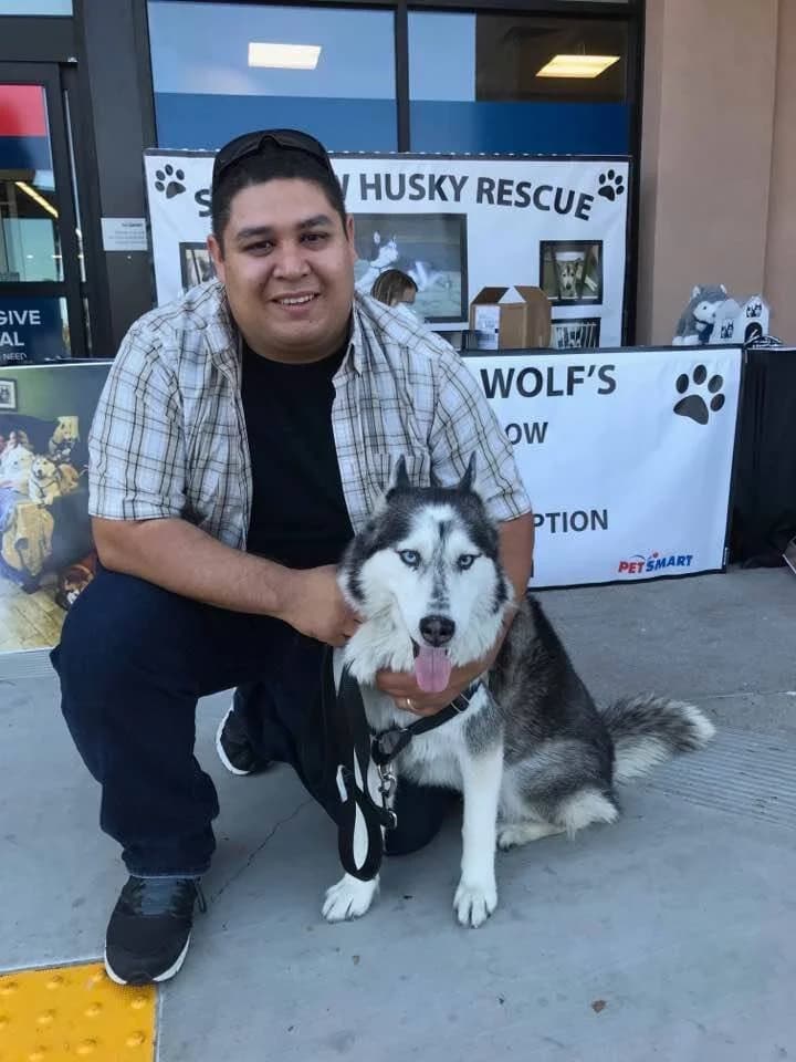 A smiling man kneels beside a black-and-white Husky with striking blue eyes at an adoption event