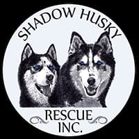 Shadow Husky Rescue