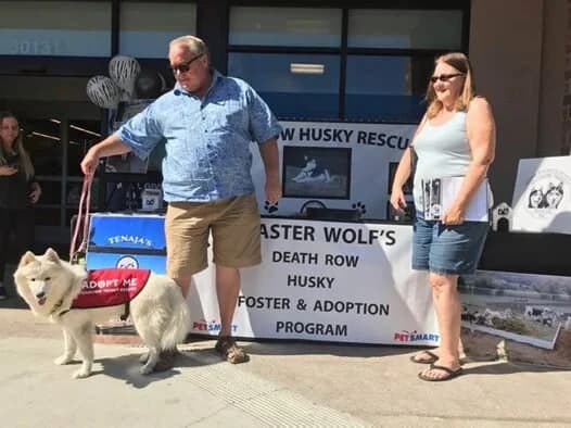 A man walks a white Husky wearing an Adopt Me vest at a rescue program event