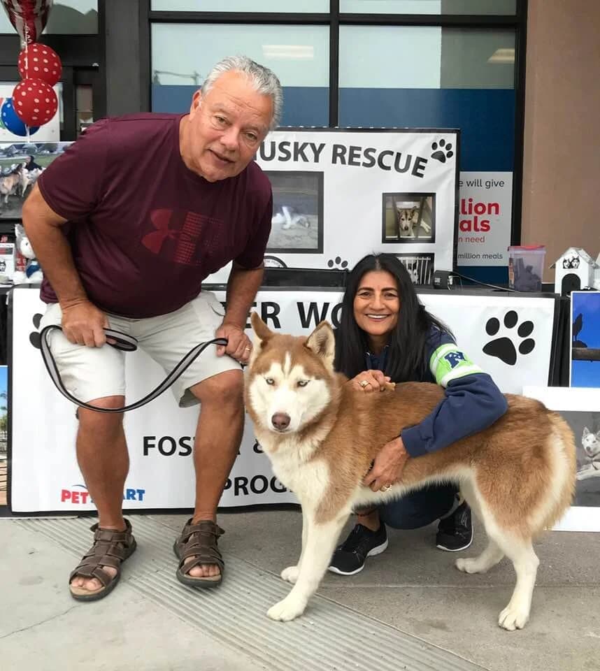 A man and a woman pose with a beautiful red-and-white Husky in front of the Shadow Husky Rescue banners