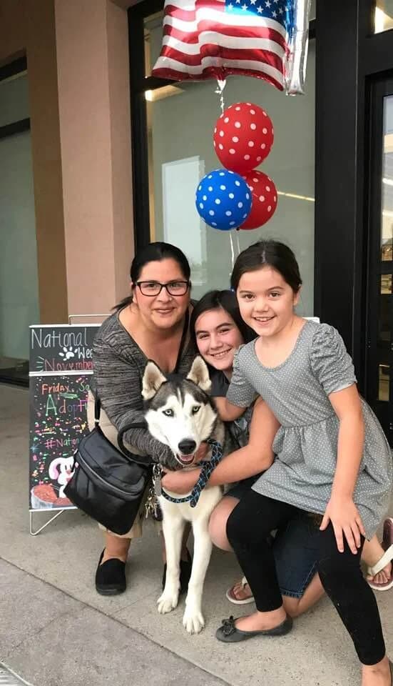 A woman and two girls hug a black-and-white Husky at an outdoor adoption event with patriotic balloons