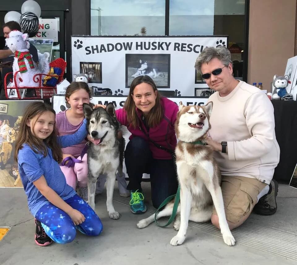 Two young girls, a woman, and a man pose with two Huskies at an outdoor adoption event