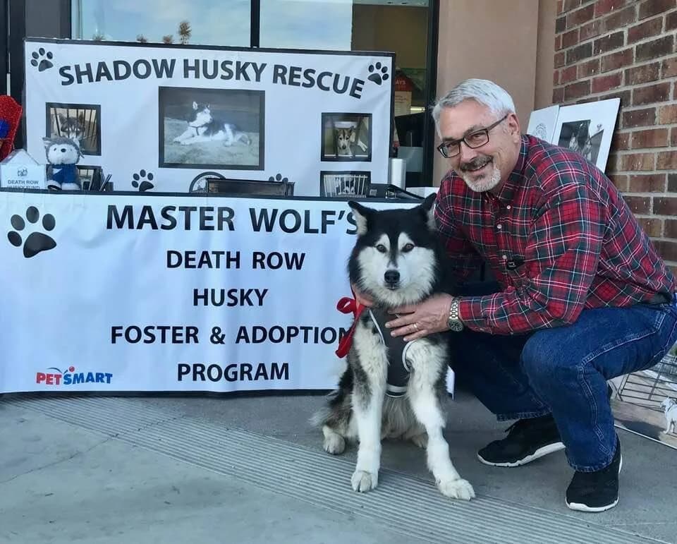 A smiling man crouches beside a black-and-white Husky in front of a Shadow Husky Rescue banner at PetSmart