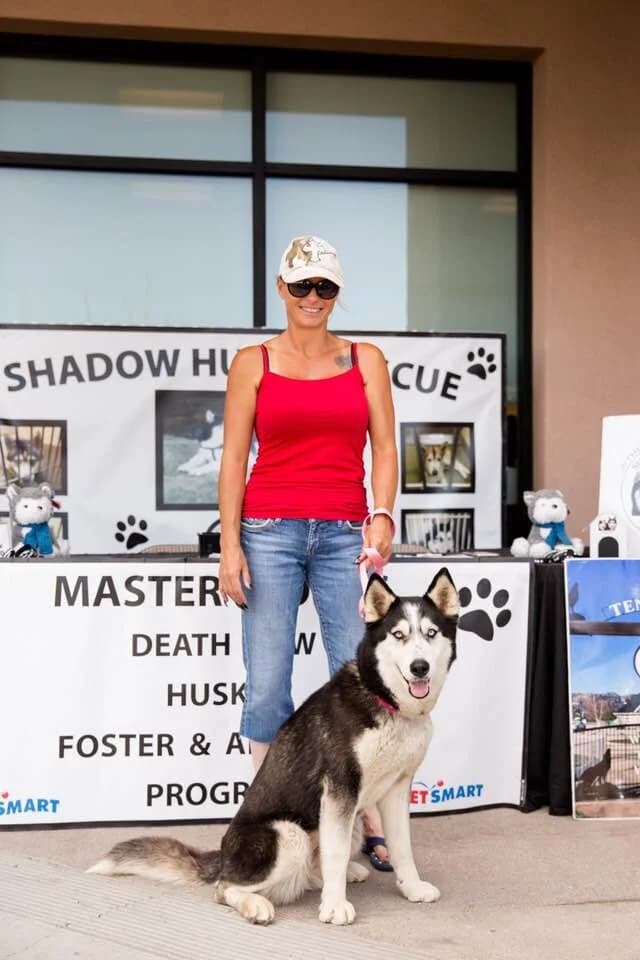 A woman in a red top standing with a black and white Husky in front of a Shadow Husky Rescue adoption banner