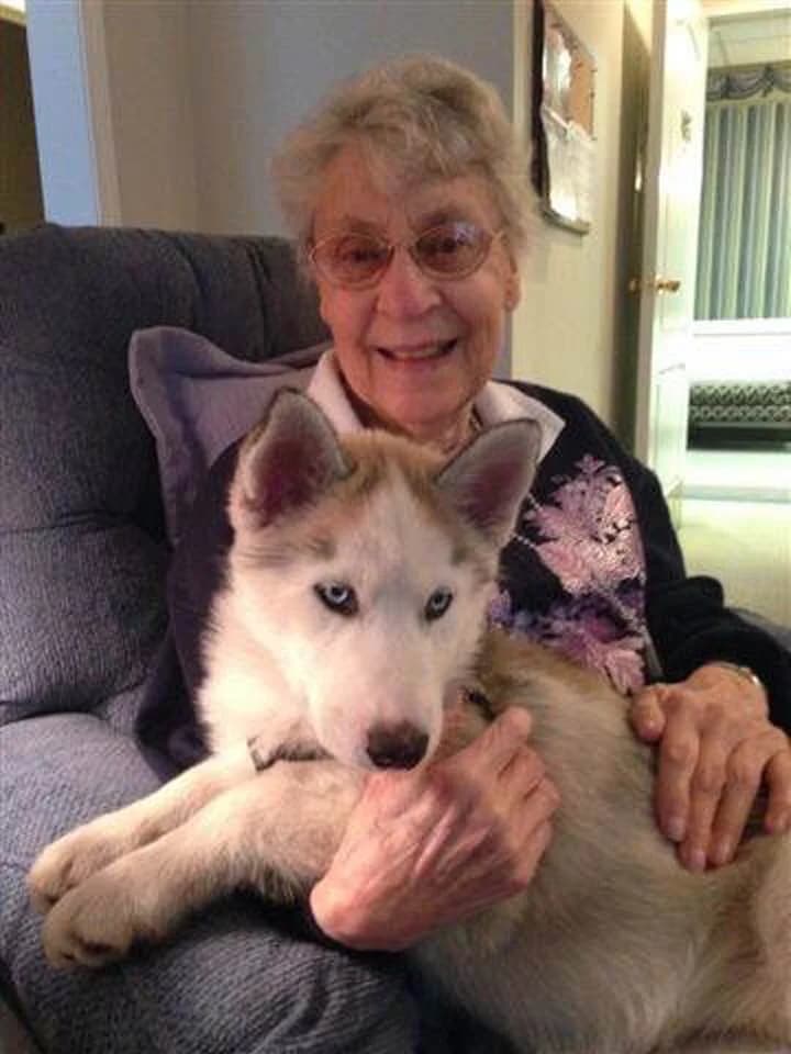 An elderly woman smiling warmly while holding a Siberian Husky puppy with blue eyes