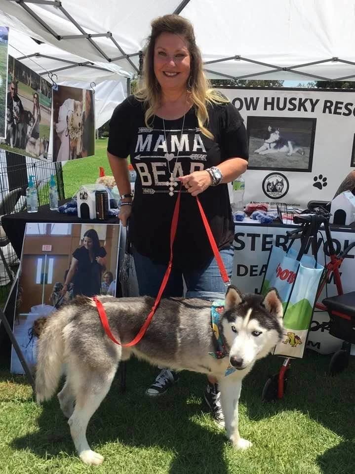 A smiling woman standing with a grey and white Husky at the Shadow Husky Rescue event booth