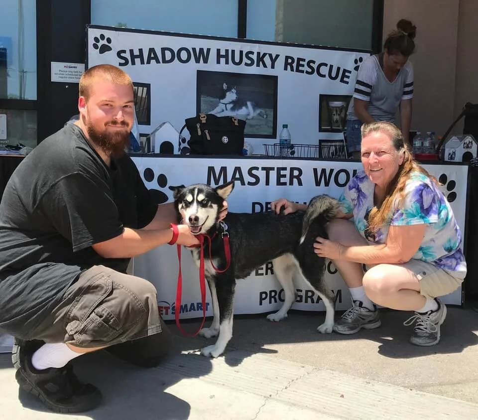 A young man and an older woman crouch beside a happy black-and-white Husky at the Shadow Husky Rescue banners