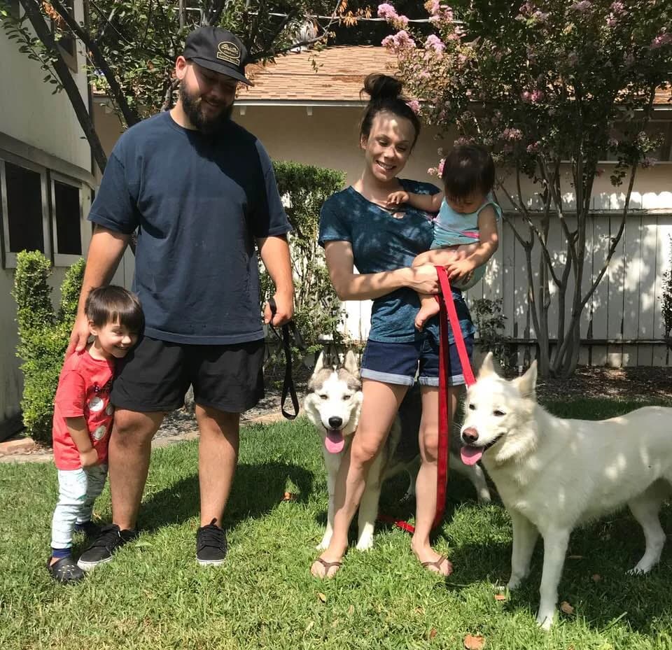 A young family with two small children stands outdoors with two Huskies in a sunny backyard