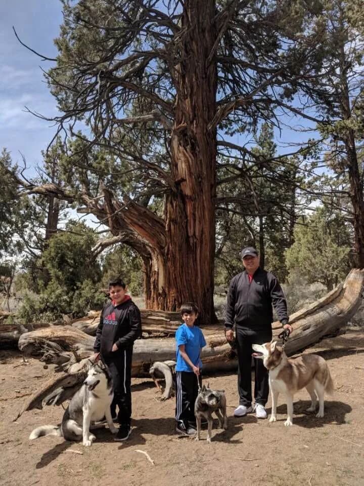 A man and two boys posing with three Huskies in front of a massive ancient tree in a forested mountain setting