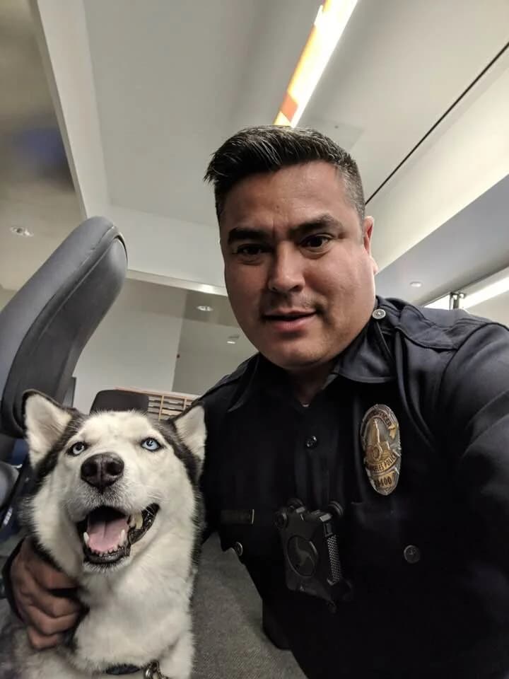 An LAPD police officer taking a selfie with a happy blue-eyed Husky