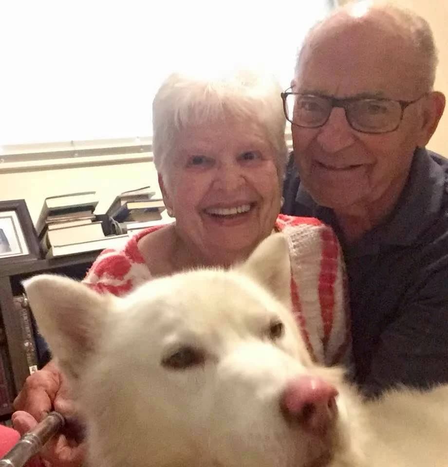An elderly couple laughs joyfully with a fluffy white Husky