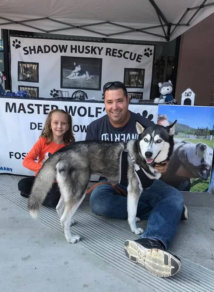 A man and young girl sit on the ground with a Siberian Husky at a Shadow Husky Rescue adoption event booth
