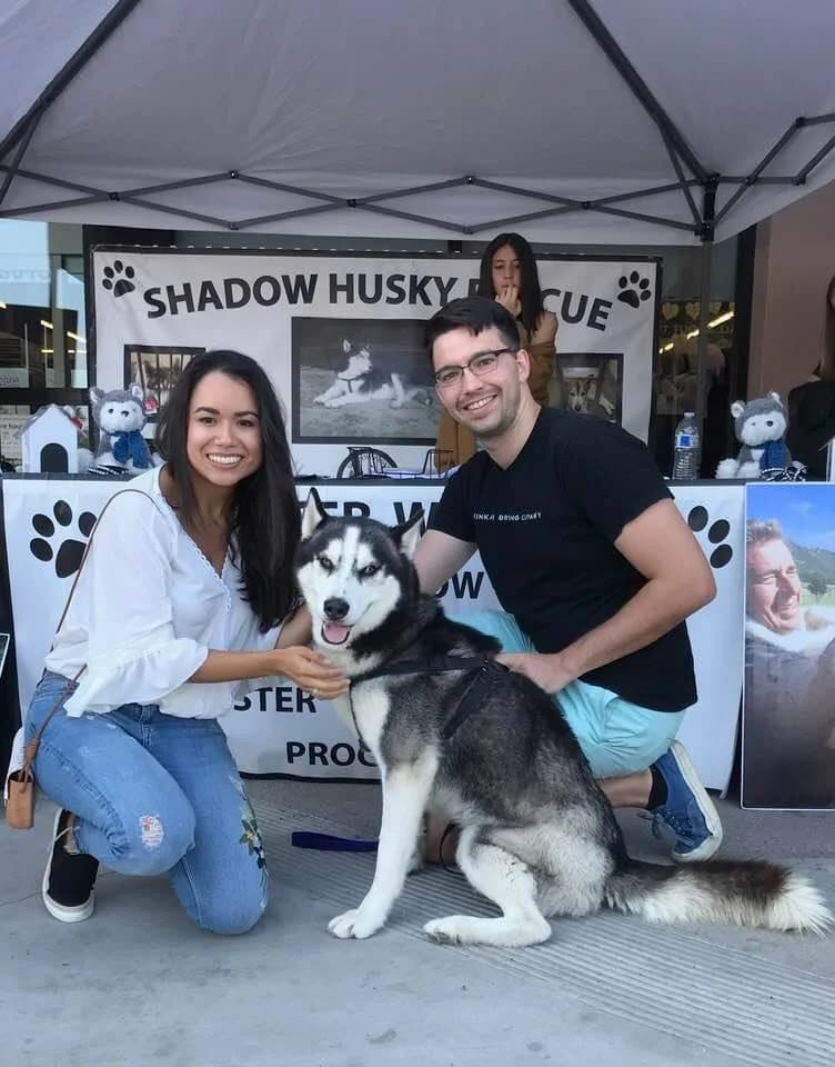 A young couple kneels with a grey and white Siberian Husky at a Shadow Husky Rescue adoption event