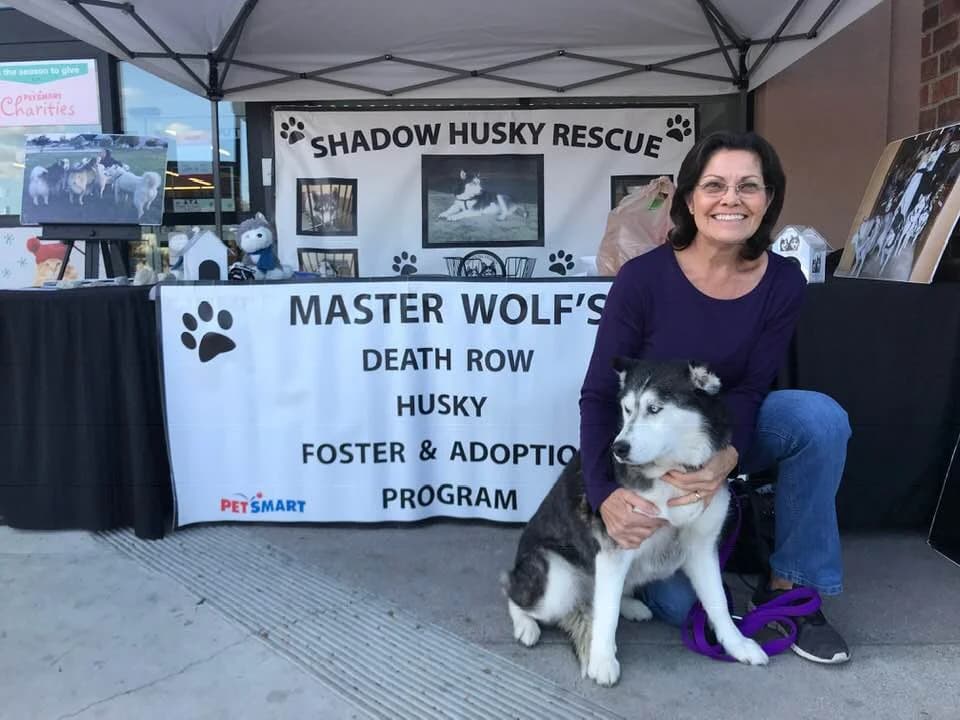 A smiling woman kneels with a Siberian Husky at a Shadow Husky Rescue adoption event booth at PetSmart
