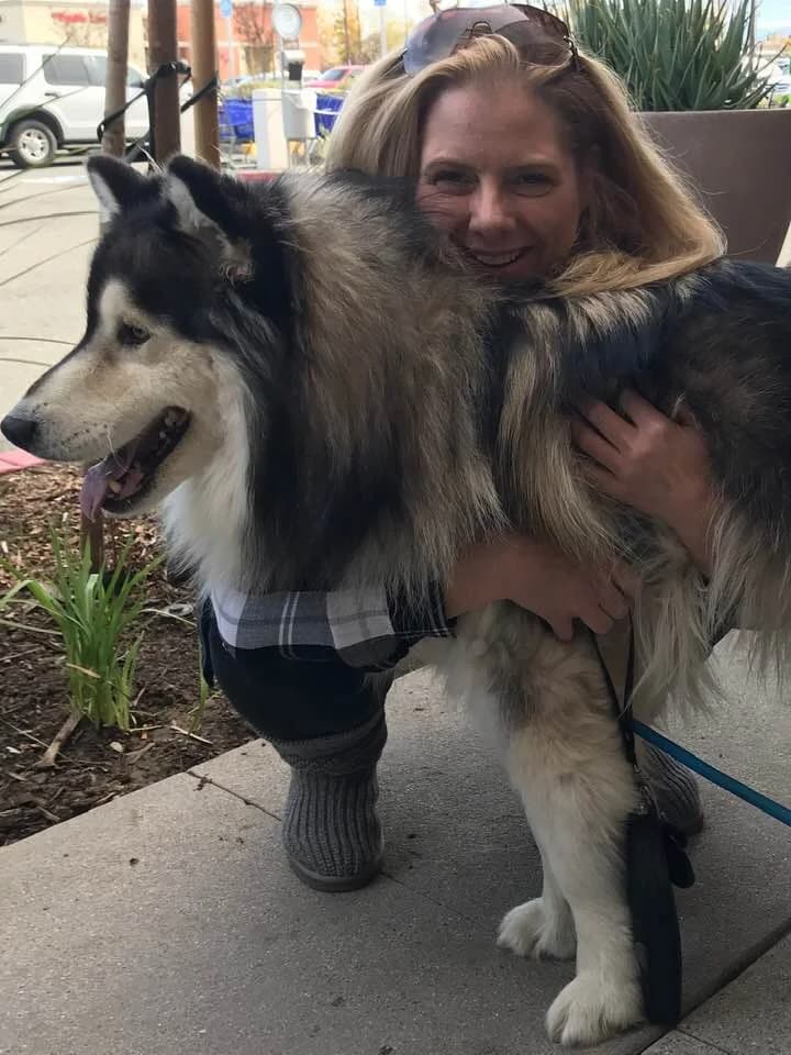 A smiling blonde woman lovingly hugs a fluffy black and grey Siberian Husky outdoors
