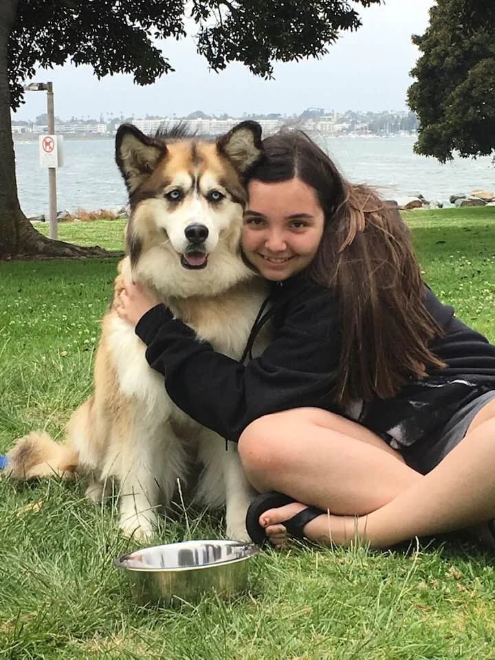 A teenage girl sits on grass hugging a fluffy red and white Husky with striking blue eyes