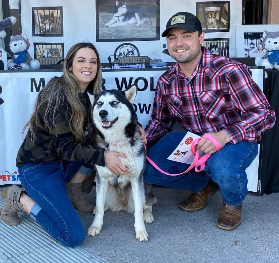 A couple crouches beside a black-and-white husky at an adoption event