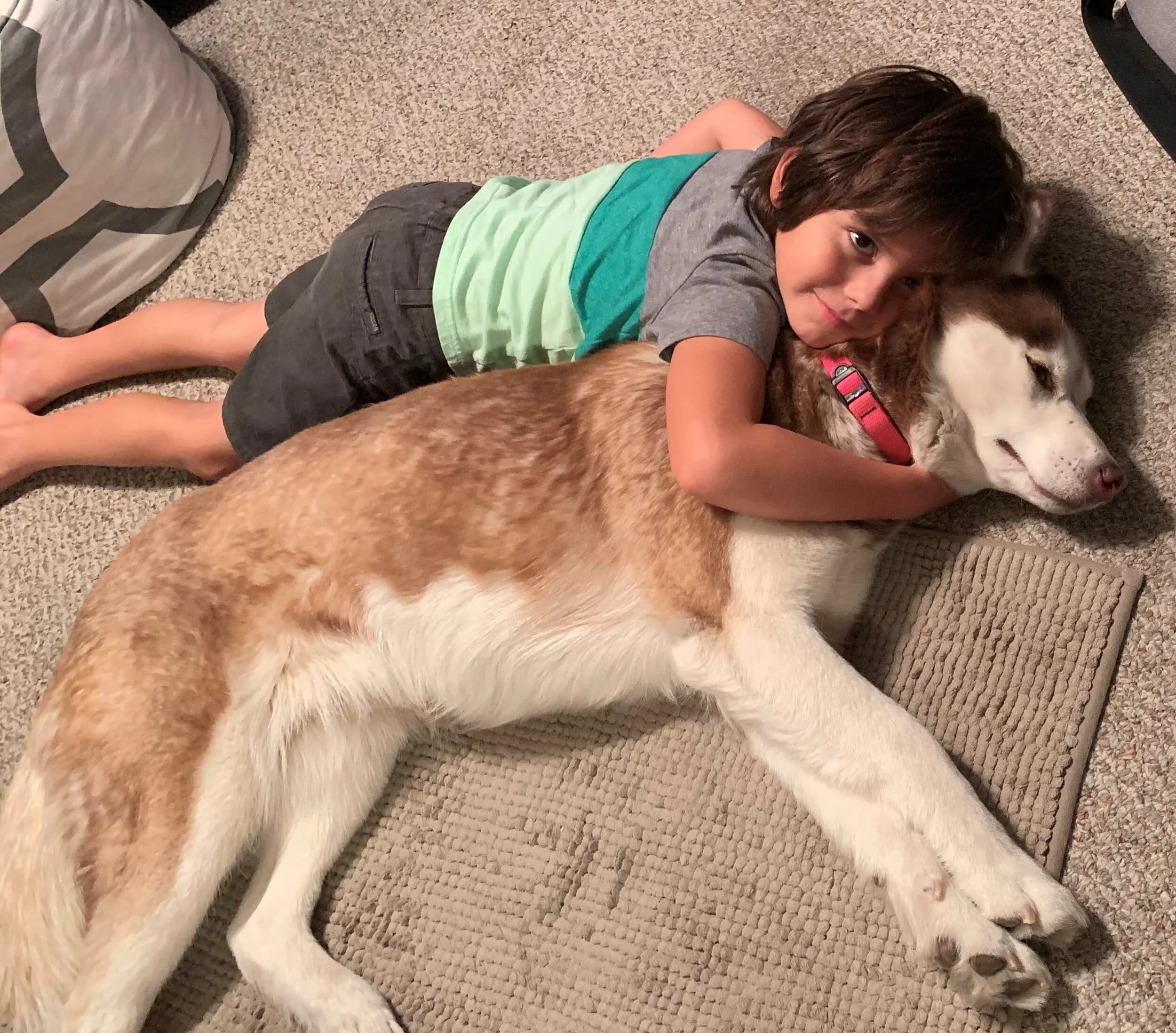 A young boy lying on the floor cuddling and hugging a large tan and white Husky
