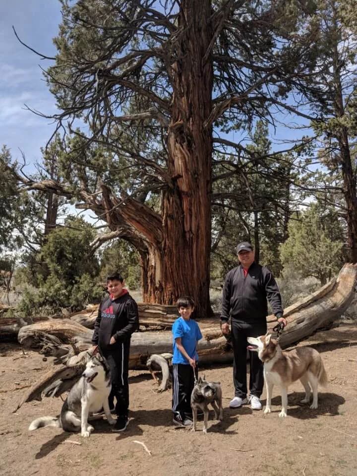 A father and two sons pose with three Huskies in front of a massive ancient tree in a scenic forest