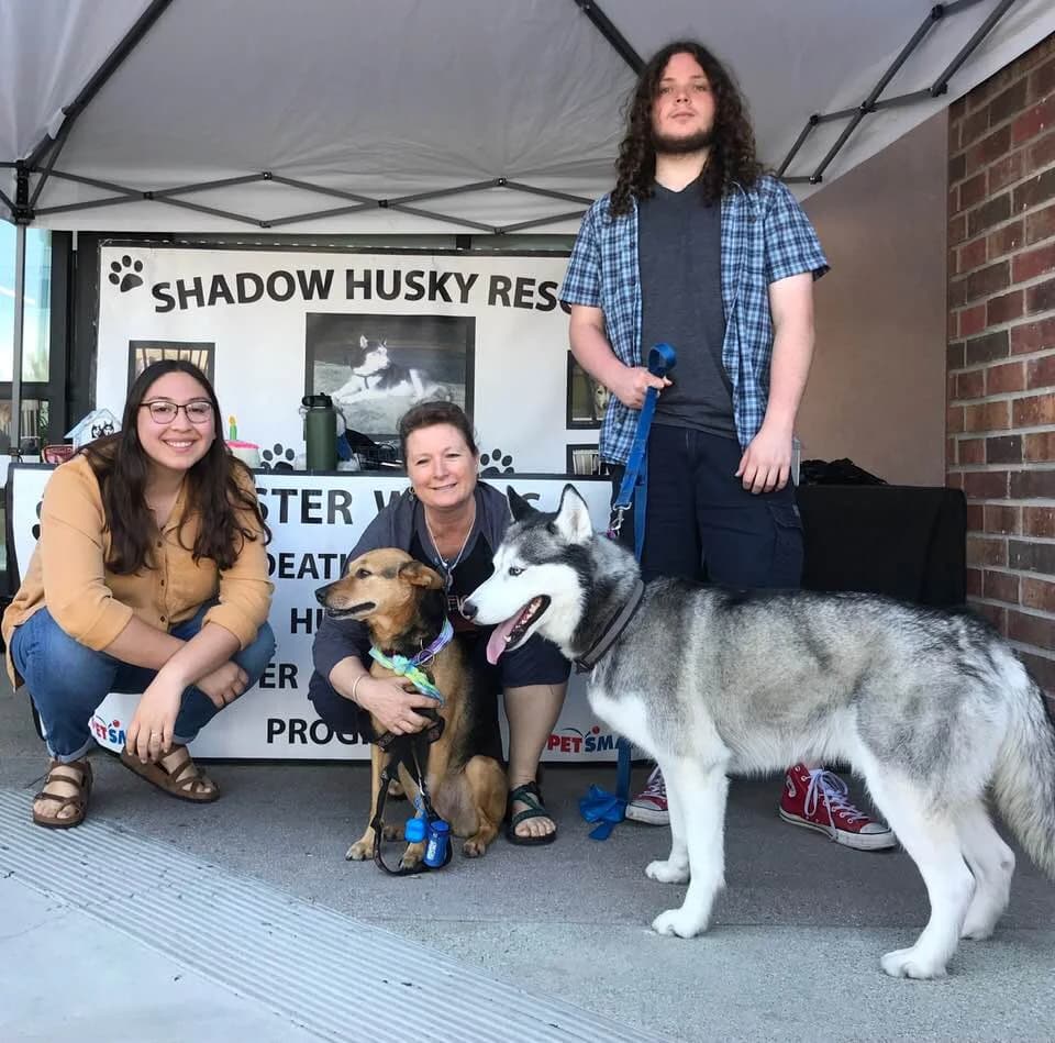 Three volunteers smile with a mixed-breed dog and a Siberian Husky at a Shadow Husky Rescue adoption booth